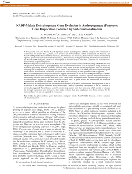 NADP-Malate Dehydrogenase Gene Evolution in Andropogoneae (Poaceae): Gene Duplication Followed by Sub-Functionalization