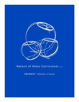 Nature of Glass Curriculum © 2014 Nature of Glass Curriculum © 2014 INTRODUCTION (1 of 2) CURRICULUM OVERVIEW
