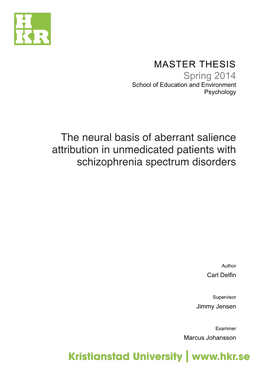 The Neural Basis of Aberrant Salience Attribution in Unmedicated Patients with Schizophrenia Spectrum Disorders