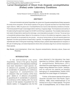 Larval Development of Ghost Crab Ocypode Ceratophthalma (Pa