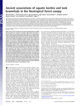 Ancient Associations of Aquatic Beetles and Tank Bromeliads in the Neotropical Forest Canopy