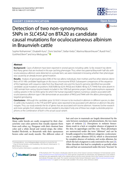 Detection of Two Non-Synonymous Snps in SLC45A2 on BTA20 As