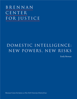 Domestic Intelligence: New Powers, New Risks