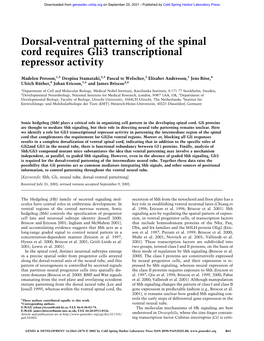 Dorsal-Ventral Patterning of the Spinal Cord Requires Gli3 Transcriptional Repressor Activity