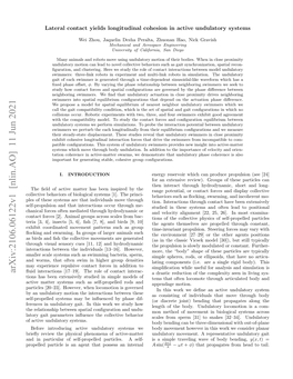 Lateral Contact Yields Longitudinal Cohesion in Active Undulatory Systems