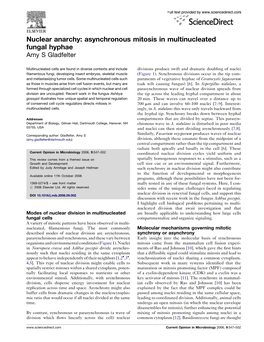 Asynchronous Mitosis in Multinucleated Fungal Hyphae Amy S Gladfelter