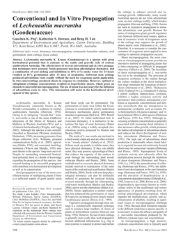 Conventional and in Vitro Propagation of Lechenaultia Macrantha