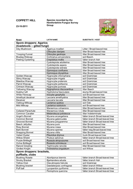 COPPETT HILL Spore Droppers: Agarics (Toadstools – Gilled Fungi