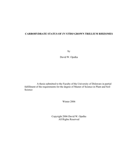 Carbohydrate Status of in Vitro Grown Trillium Rhizomes