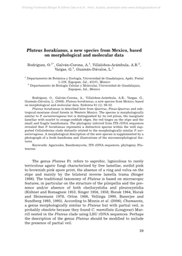 Pluteus Horakianus, a New Species from Mexico, Based on Morphological and Molecular Data