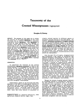 Taxonomy of the Crested Wheatgrasses (Agropyron)