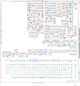 Generated by SRI International Pathway Tools Version 25.0, Authors S