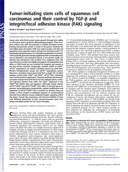 Tumor-Initiating Stem Cells of Squamous Cell Carcinomas and Their Control by TGF-Β and Integrin/Focal Adhesion Kinase (FAK) Signaling