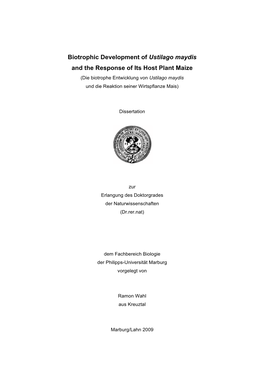 Biotrophic Development of Ustilago Maydis and the Response of Its Host Plant Maize