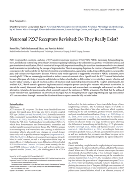 Neuronal P2X7 Receptors Revisited: Do They Really Exist?