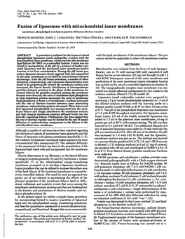 Fusion of Liposomes with Mitochondrial Inner Membranes (Membrane Phospholipid Enrichment/Protein Diffusion/Electron Transfer) HEINZ SCHNEIDER, JOHN J