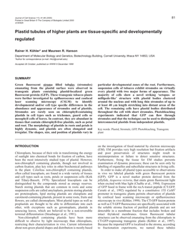 Plastid and Stromule Morphology 83