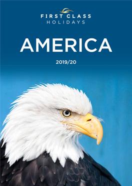 America 2019.Pdf