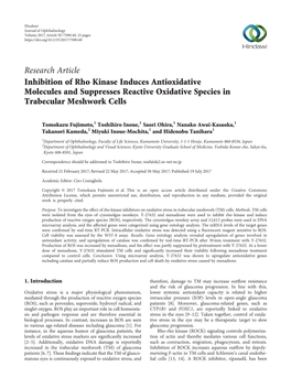 Inhibition of Rho Kinase Induces Antioxidative Molecules and Suppresses Reactive Oxidative Species in Trabecular Meshwork Cells