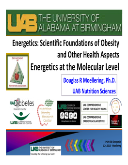 Energetics at the Molecular Level Douglas R Moellering, Ph.D