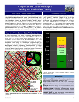 A Report on the City of Pittsburgh's Existing and Possible Tree Canopy