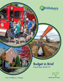 2018-19 Budget in Brief