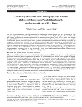 Life-History Characteristics of Pseudoplatystoma Metaense (Teleostei: Siluriformes: Pimelodidae) from the Northwestern Orinoco River Basin