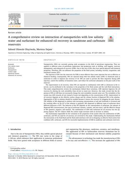 A Comprehensive Review on Interaction of Nanoparticles with Low