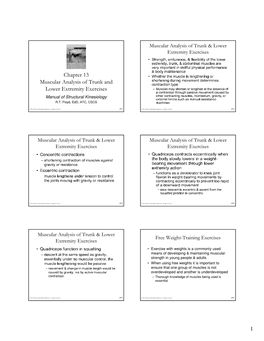 Chapter 13 Muscular Analysis of Trunk and Lower Extremity Exercises