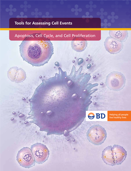 Apoptosis, Cell Cycle, and Cell Proliferation