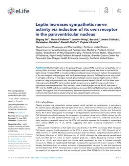 Leptin Increases Sympathetic Nerve Activity Via Induction of Its Own