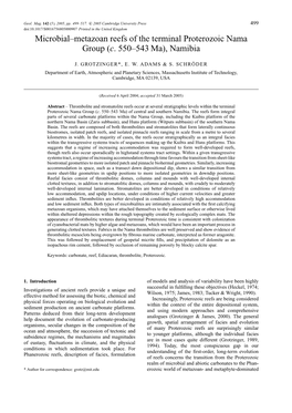 Microbial–Metazoan Reefs of the Terminal Proterozoic Nama Group (C