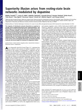 Superiority Illusion Arises from Resting-State Brain Networks Modulated by Dopamine