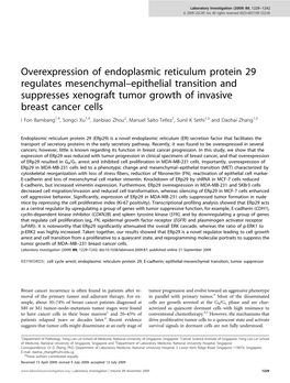 Overexpression of Endoplasmic Reticulum Protein 29