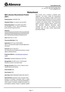 MXI1 (Human) Recombinant Protein (Q01)