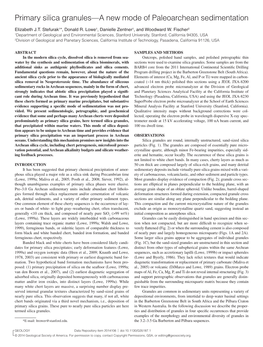 Primary Silica Granules—A New Mode of Paleoarchean Sedimentation