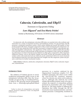 Calnexin, Calreticulin, and Erp57