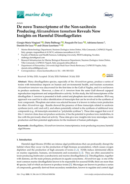 De Novo Transcriptome of the Non-Saxitoxin Producing Alexandrium Tamutum Reveals New Insights on Harmful Dinoﬂagellates