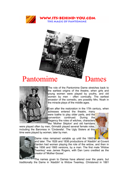 Pantomime Dames