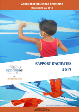 Rapport D'activites 2017