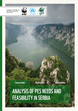 Analysis of Pes Needs and Feasibility in Serbia Content