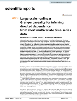 Large-Scale Nonlinear Granger Causality for Inferring Directed