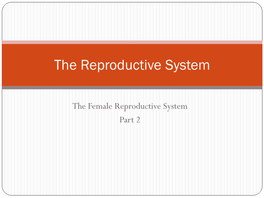 Female Reproductive System