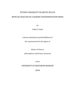 Future Variability in Arctic Sea Ice with an Analysis of a Marine