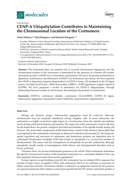 CENP-A Ubiquitylation Contributes to Maintaining the Chromosomal Location of the Centromere