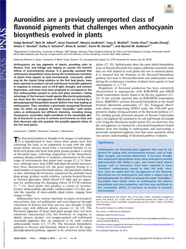 Auronidins Are a Previously Unreported Class of Flavonoid Pigments That Challenges When Anthocyanin Biosynthesis Evolved in Plants