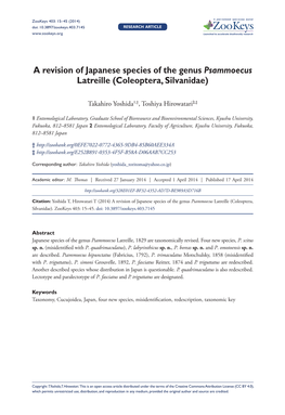 A Revision of Japanese Species of the Genus Psammoecus Latreille (Coleoptera, Silvanidae)