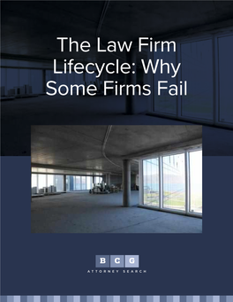 The Law Firm Lifecycle: Why Some Firms Fail the Law Firm Lifecycle: Why Some Firms Fail