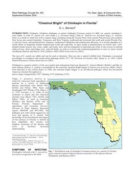 Chestnut Blight