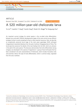 A 520 Million-Year-Old Chelicerate Larva